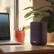 Denon Home 150 NV Wireless Speaker with HEOS Streaming