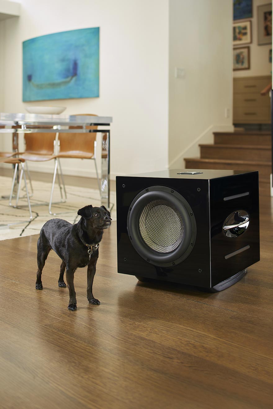 REL Carbon Special Subwoofer